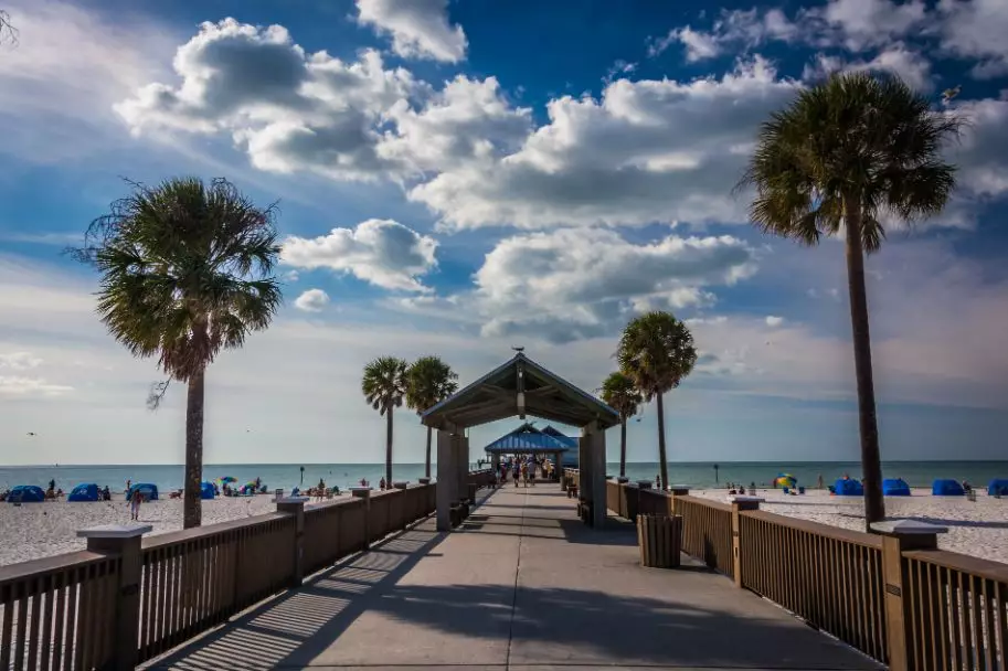 Palm Trees and the Fishing Pier